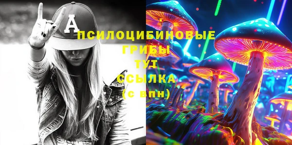 гидропоника Алзамай